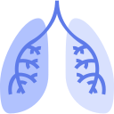 Darker (left) and lighter (right) lungs